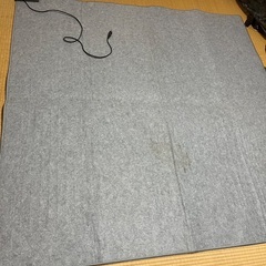 2畳用ホットカーペットの画像