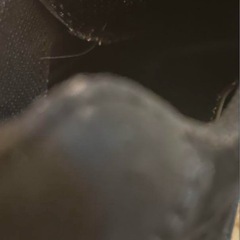 可愛い靴　猫の画像