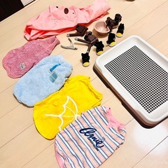 ワンちゃんお迎えセット ペット トイレ 給水機 ウェア 爪切り スリング 靴の画像