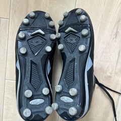 LOTTOスパイク22.5cmの画像