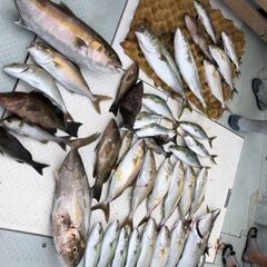 鮒釣り専門　平日行ける方募集　