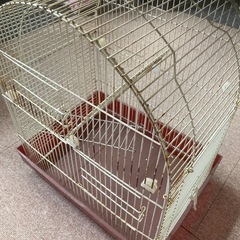 ハムスター🐹とインコ🦜の家🏠
の画像