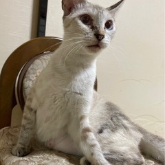 元気で可愛い1歳の女の子🎀