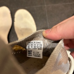 イージーブースト380 ペッパーの画像