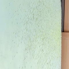 ロングボードの画像