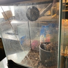 GEXエキゾテラ 爬虫類ケージ　２つセットの画像