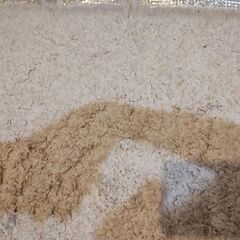 フランフラン　カステラグの画像
