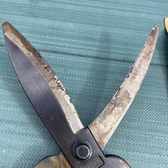 刈込鋏　の画像