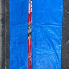 クロスカントリースキー　クラシカルの画像