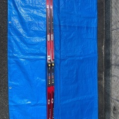 クロスカントリースキー　クラシカルの画像