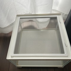 【爬虫類、レオパ】水槽、クリアケース の画像