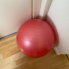 バランスボール ダイエット 体幹トレーニング の画像