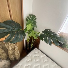 フェイクグリーン モンステラ 観葉植物の画像
