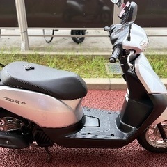 ホンダタクト☆AF79☆程度良好☆低走行の画像