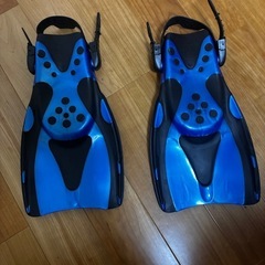 R I high wing フィンの画像