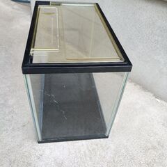 水槽の画像