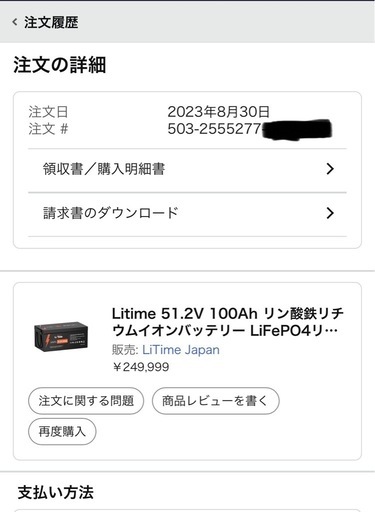 Litime 51.2V 100Ah リン酸鉄リチウムイオンバッテリー