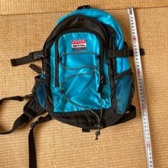 小さめのリュックの画像