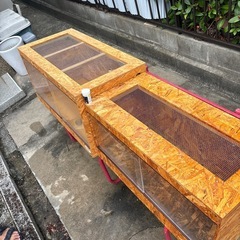 爬虫類飼育ケージ2個セットの画像