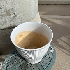 おしゃれな鉢植え　の画像