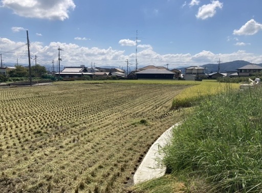 令和7年度産 　お米 15kg(和歌山)