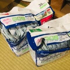小型犬用おむつの画像