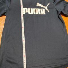 PUMA Tシャツ Mサイズ プーマの画像
