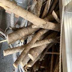 雑木の画像
