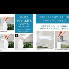GEXのオールインワン水槽アワーズのホワイトの画像