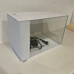 GEXのオールインワン水槽アワーズのホワイトの画像