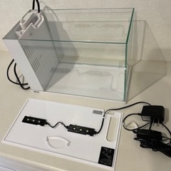 GEXのオールインワン水槽アワーズのホワイトの画像