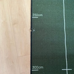 パターマット（3M） & スイングトレーニング補助具✖︎2 & アプローチネットの画像