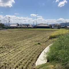 令和7年度産　お米30kg(大阪)の画像