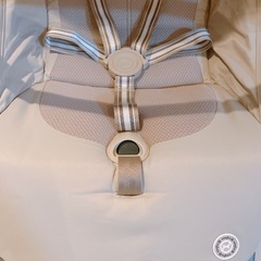 【美品】サイベックス　リベル　バンパー付きの画像