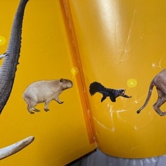 どうぶつえんのみんなの1日の画像
