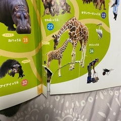 どうぶつえんのみんなの1日の画像