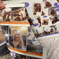 どうぶつえんのみんなの1日の画像