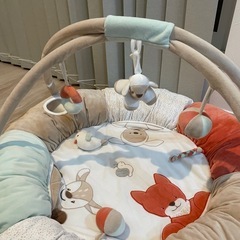 ナチュー　プレイマットジムの画像