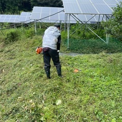 草刈り、剪定します❗️