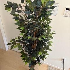 フェイクグリーン　観葉植物の画像