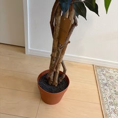 フェイクグリーン　観葉植物の画像