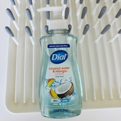 OXOオクソー 水切りカゴ
とDialハンドソープの画像