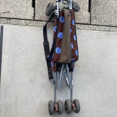 バギーの画像