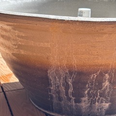 睡蓮鉢Bの画像