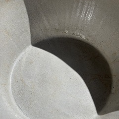 睡蓮鉢Bの画像