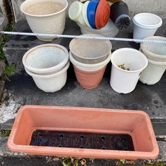 プラスチックの花壇用鉢の画像