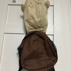 カワウソなりきりリュックの画像