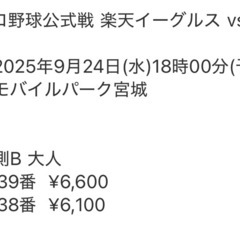 9/24(水)楽天チケット2枚の画像