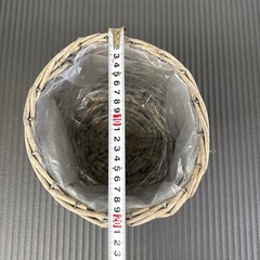 🪴植木鉢カバー🪴の画像