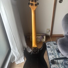 エレキギター
Schecter Damien FR-6 Diamond Seriesの画像
